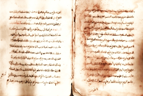 Самый старый язык